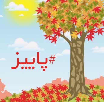 شعر پاییز آمد دوباره برگها شدن ستاره